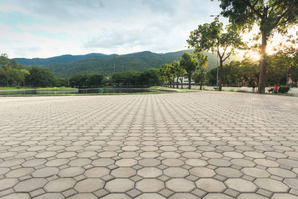 Professional Driveway Pavers in Washington, GA
